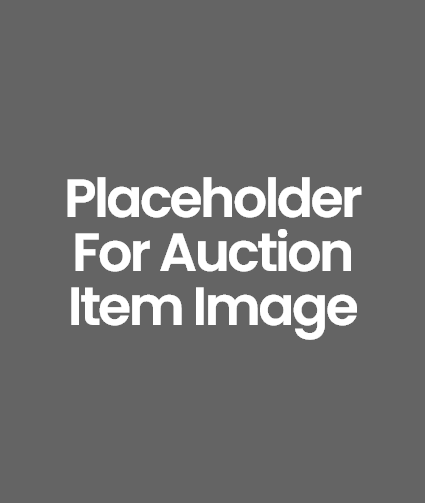 Placeholder for Auction Item Image