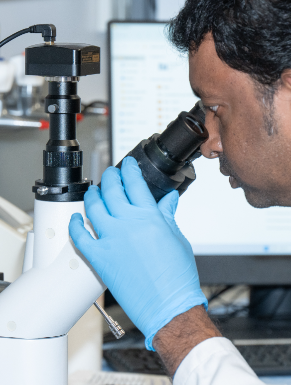 Cancer Research Dr. Appu looking through a microscope